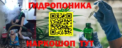 амф Можга