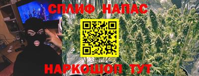 амф Можга